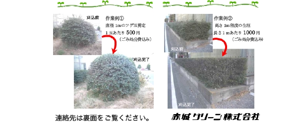 お庭のお手入れ