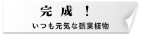赤城グリーン株式会社・施工完成