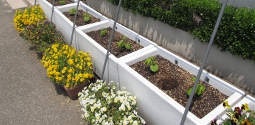 グリーンカーテンプランター