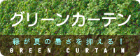 グリーンカーテン